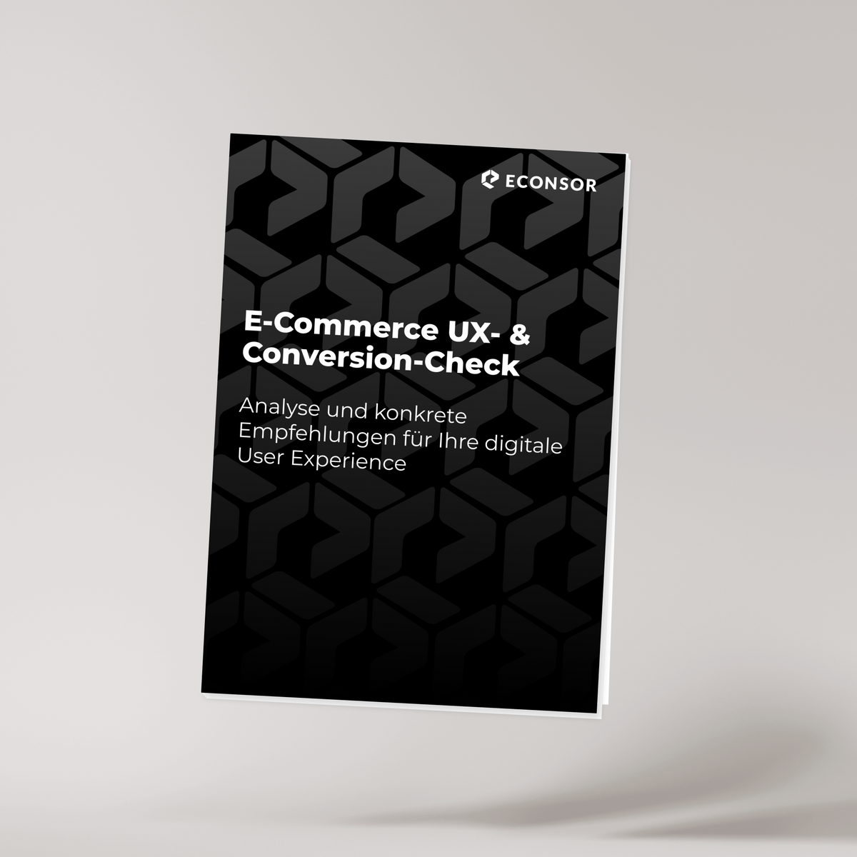 E-Commerce UX- & Conversion-Check