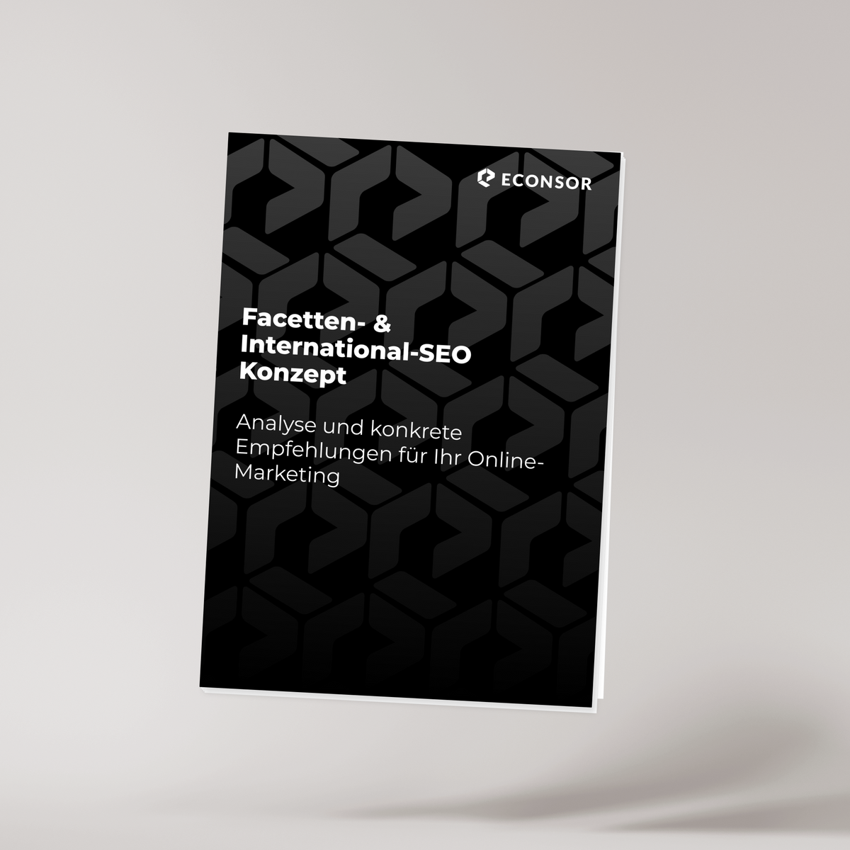 Facetten- & International-SEO Konzept