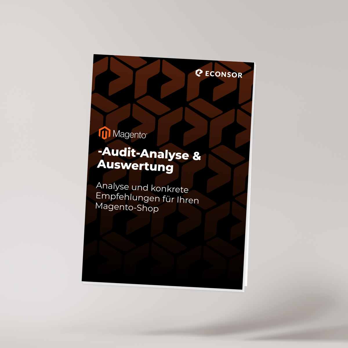 Magento-Audit-Analyse & Auswertung