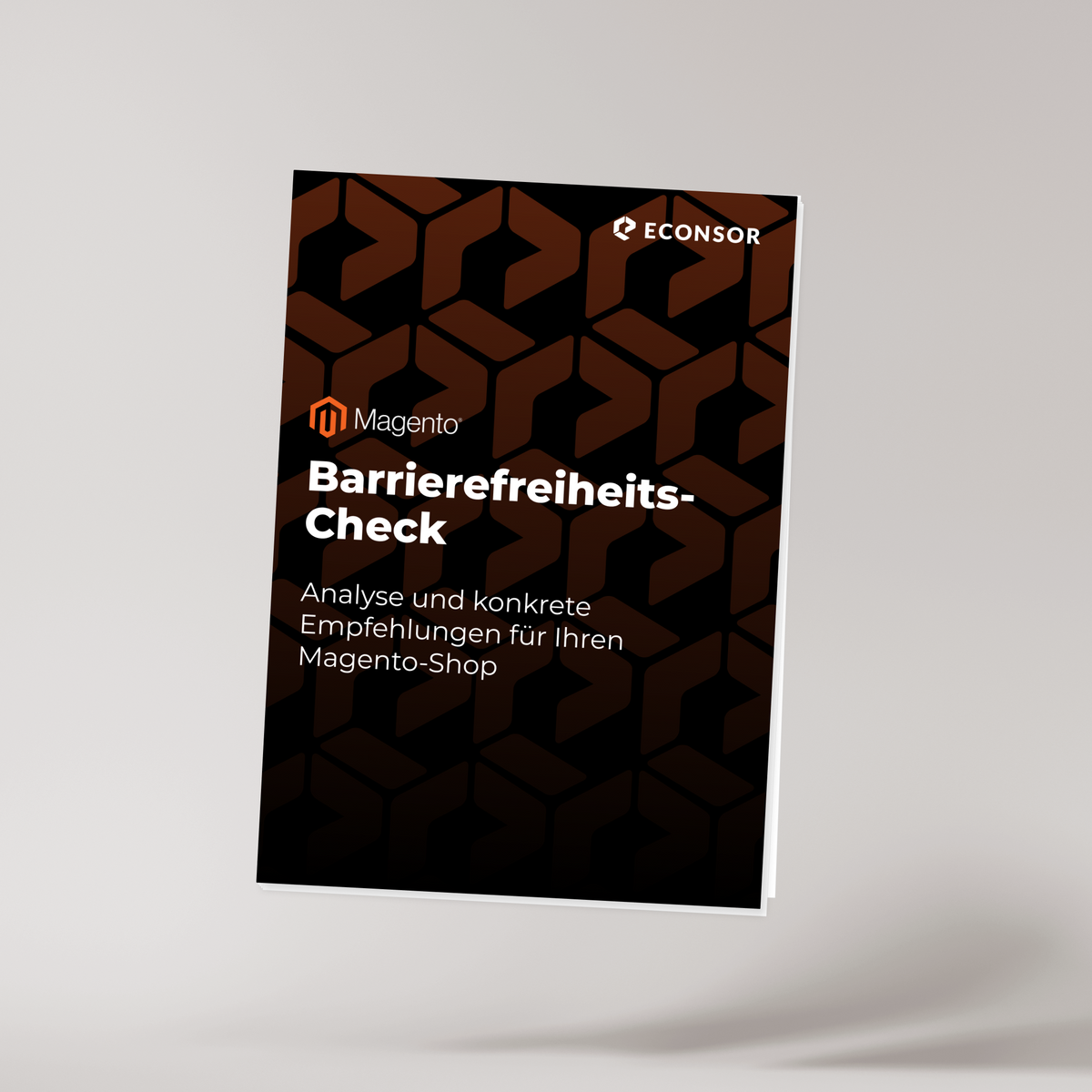 Magento Barrierefreiheits-Check