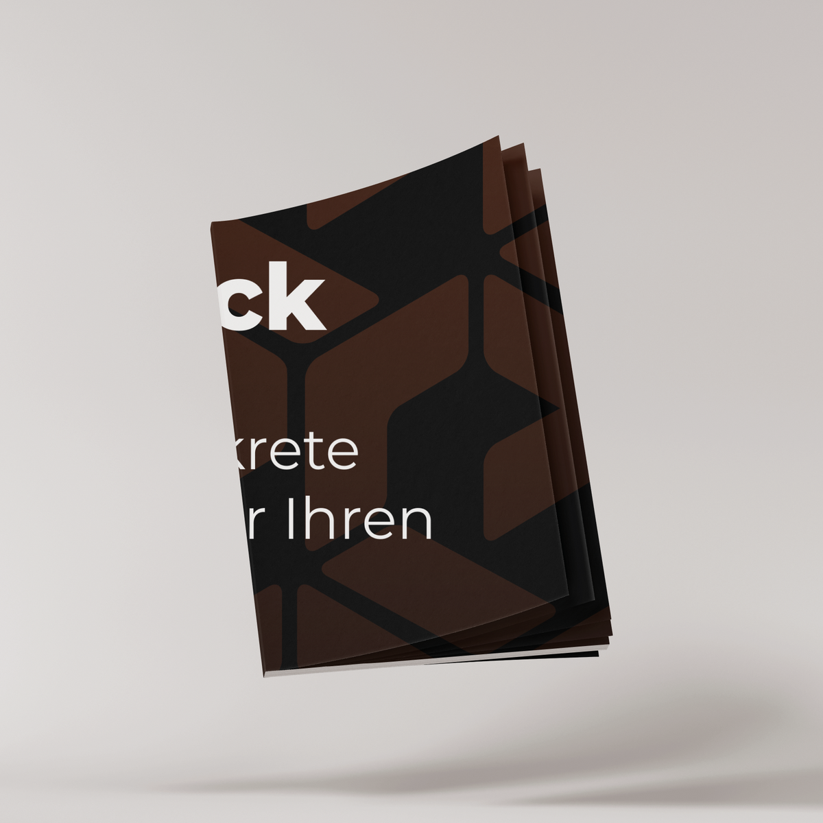 Magento Shop-Check