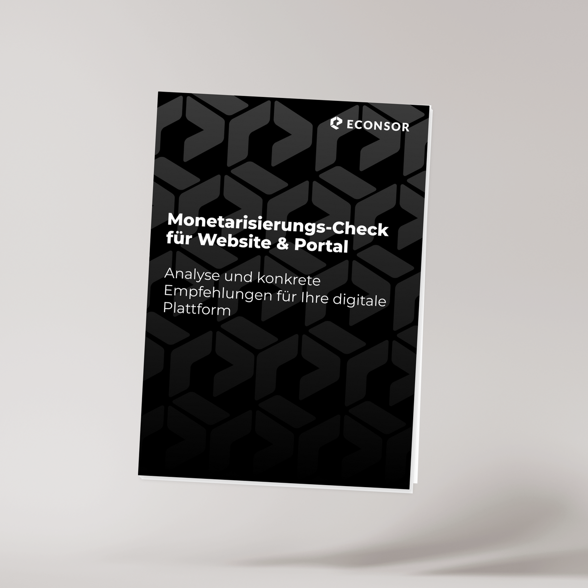 Monetarisierungs-Check für Website & Portal
