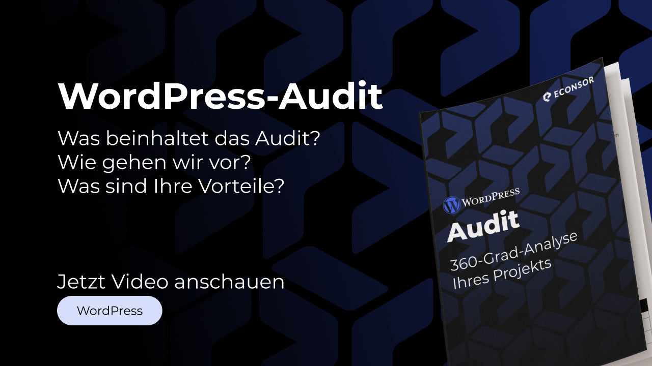 WordPress-Audit Erklärungsvideo