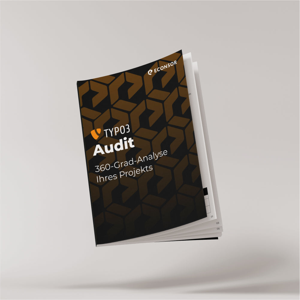 TYPO3-Audit – Analyse & Auswertung