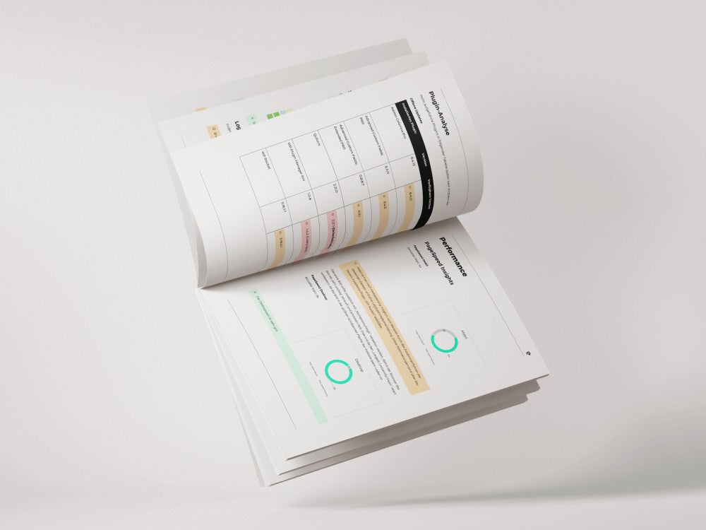 Audit-Inhalt: Plugin-Analyse und Performance (beispielhaft)