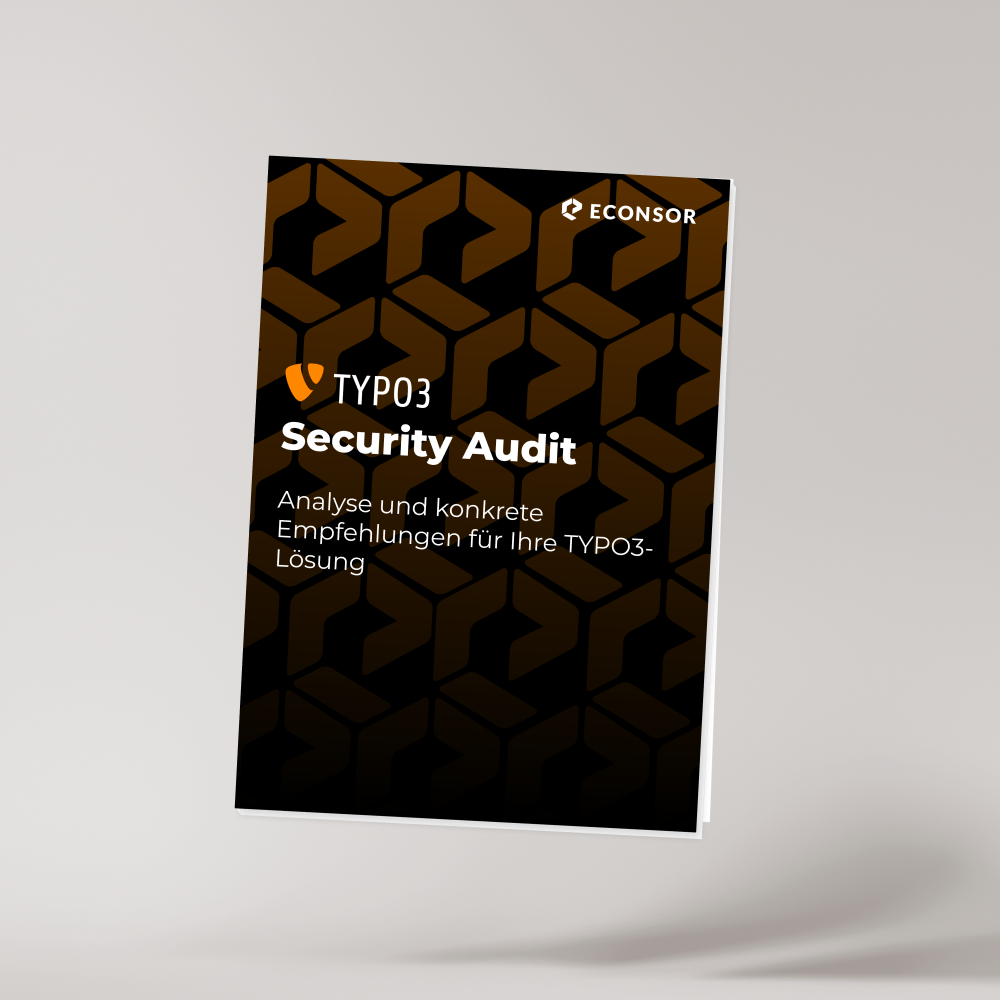 TYPO3 Security Audit