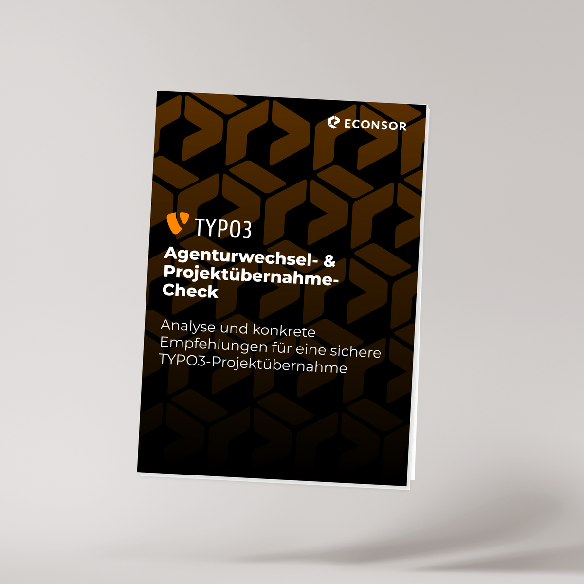 TYPO3 Agenturwechsel- & Projektübernahme-Check
