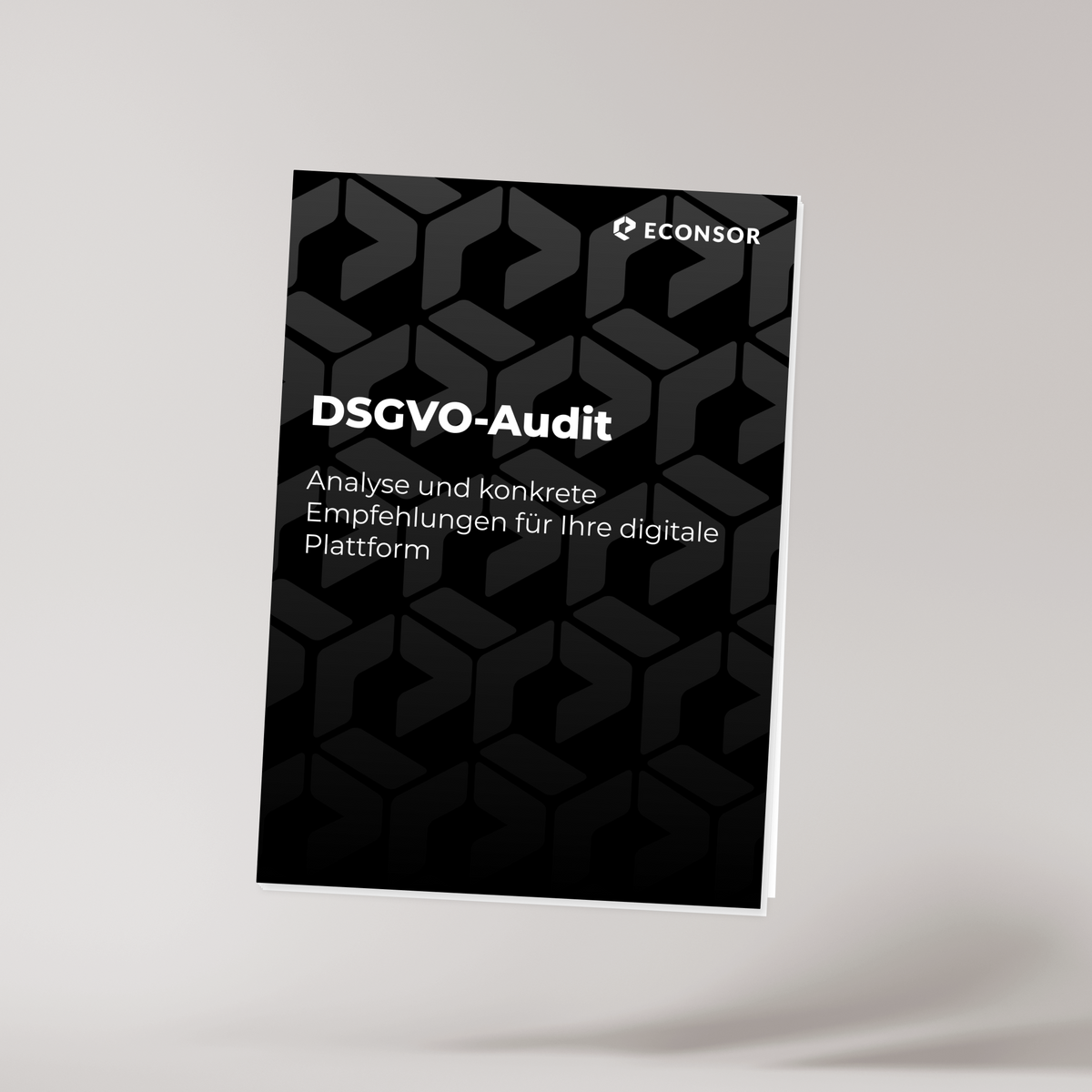 DSGVO-Audit