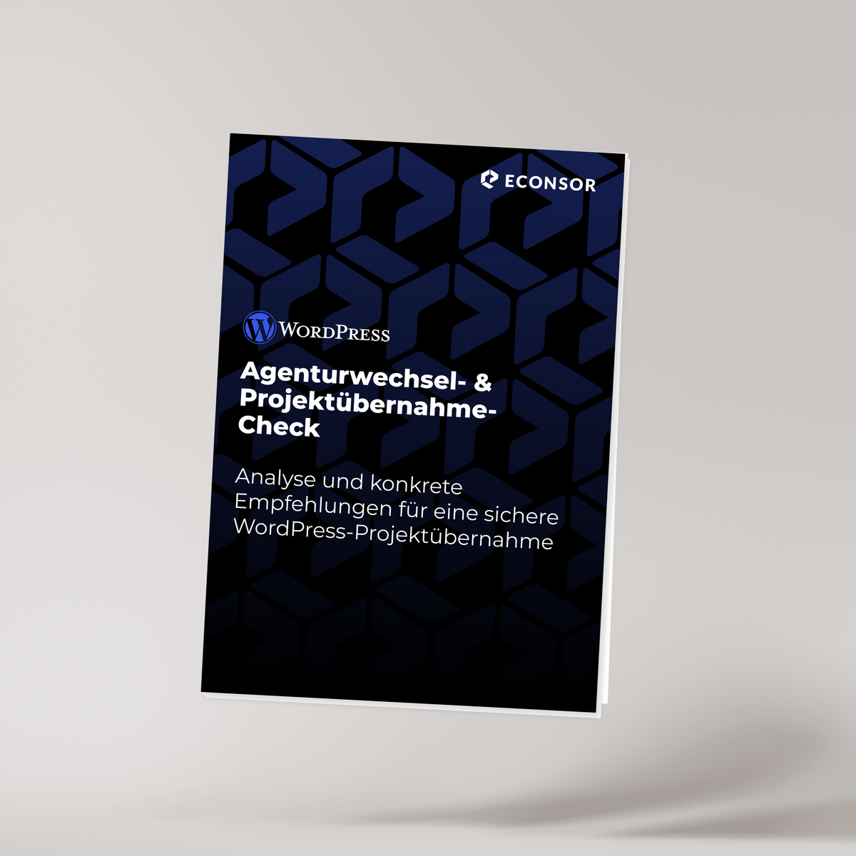 WordPress Agenturwechsel- & Projektübernahme-Check