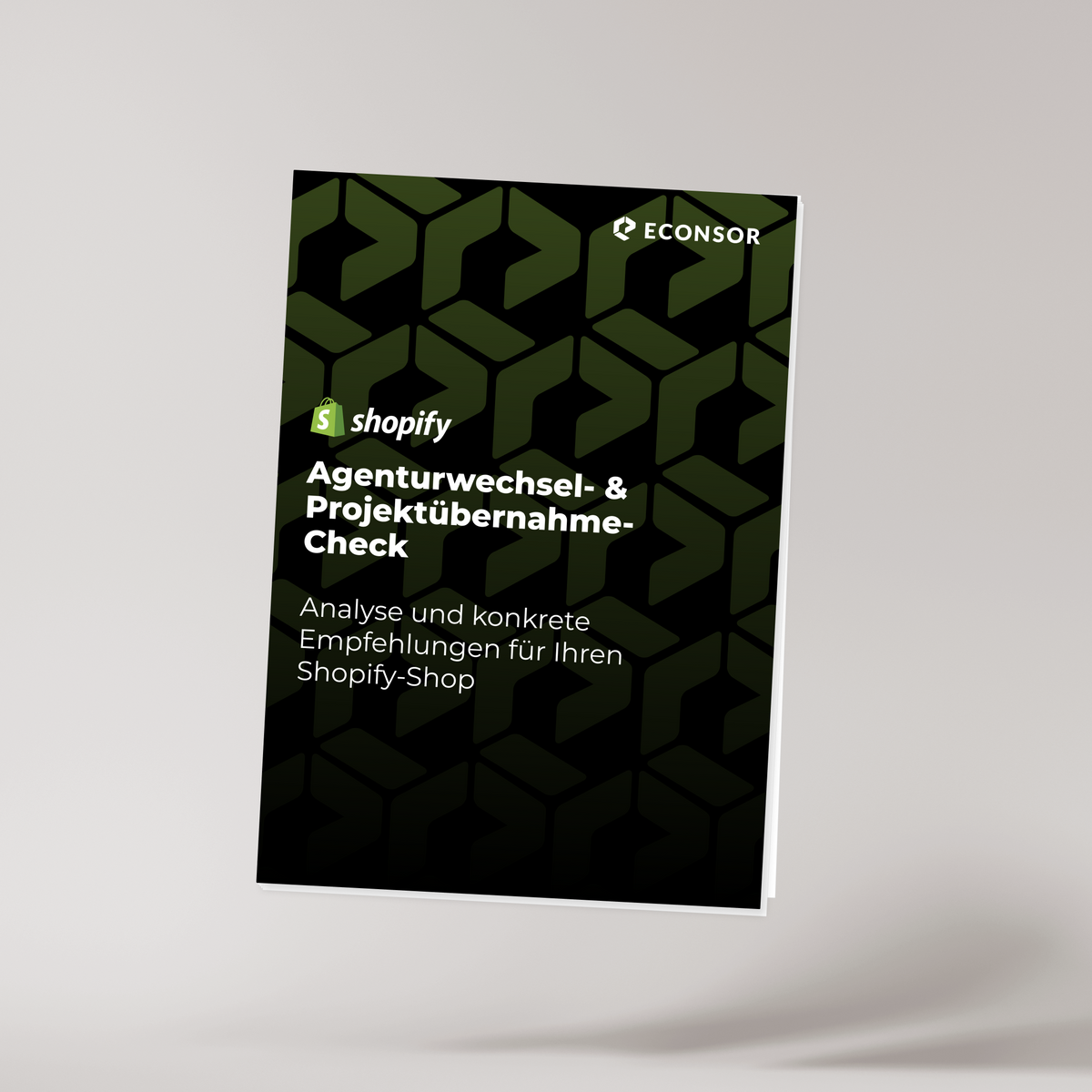 Shopify Agenturwechsel- & Projektübernahme-Check