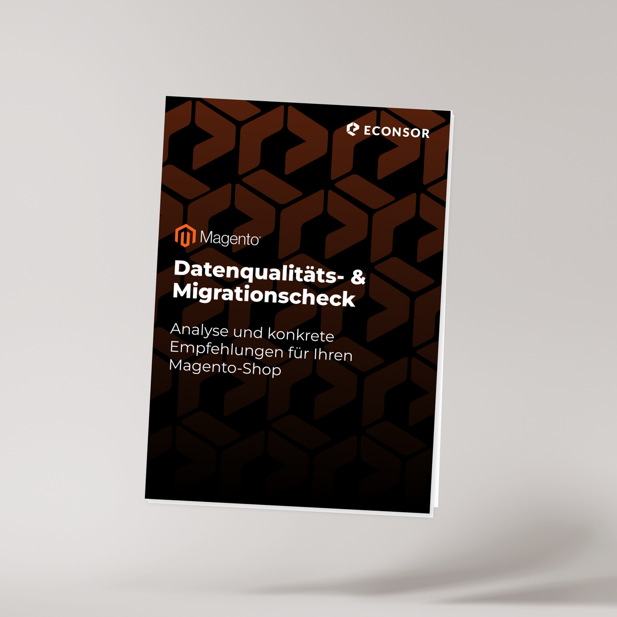Magento Datenqualitäts- & Migrationscheck