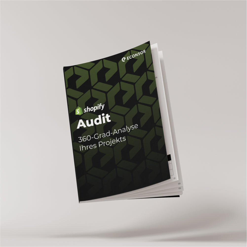 Shopify-Audit – Analyse & Auswertung