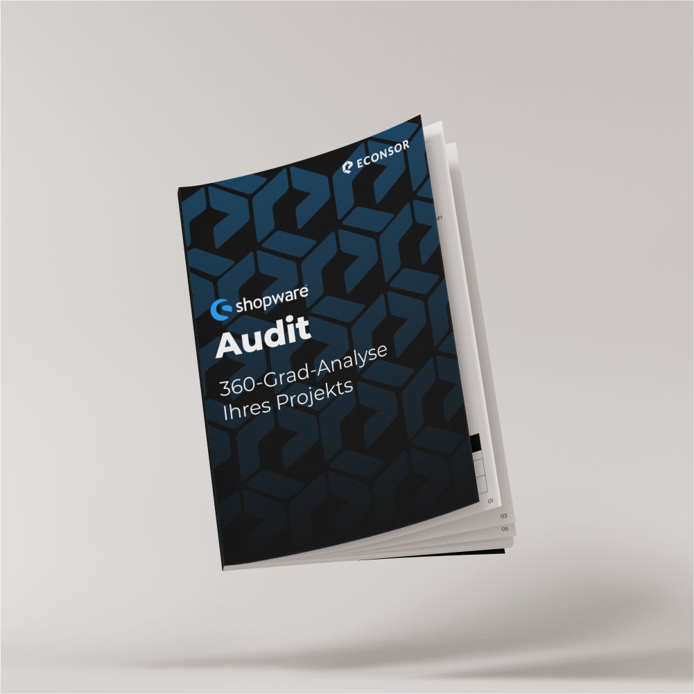 Shopware-Audit – Analyse & Auswertung